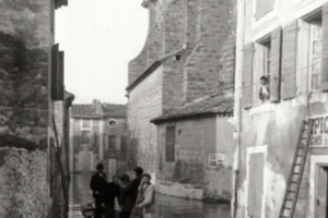 1951