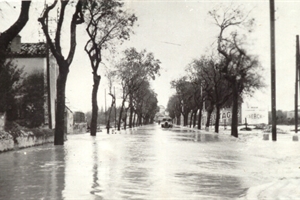 1951