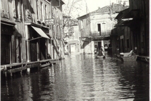 1951