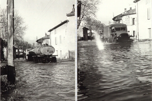 1951