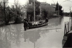 1951