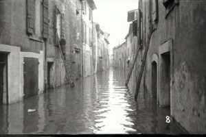 1951