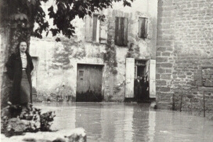 1951