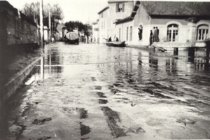 1951