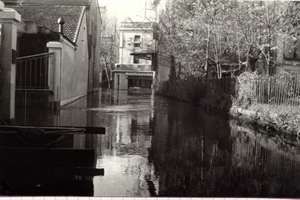 1951
