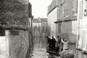1951
