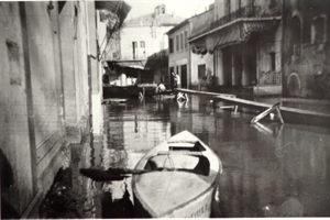 1951