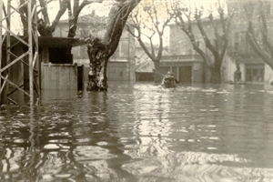 1951
