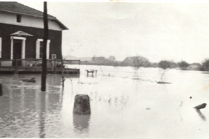 1951