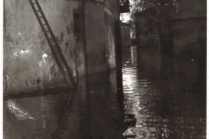 1951
