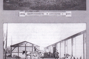 1917/2013