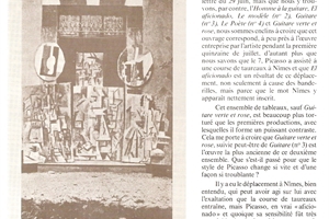 2002/2003 "Picasso"