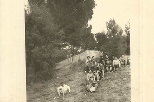 Gallas Quino